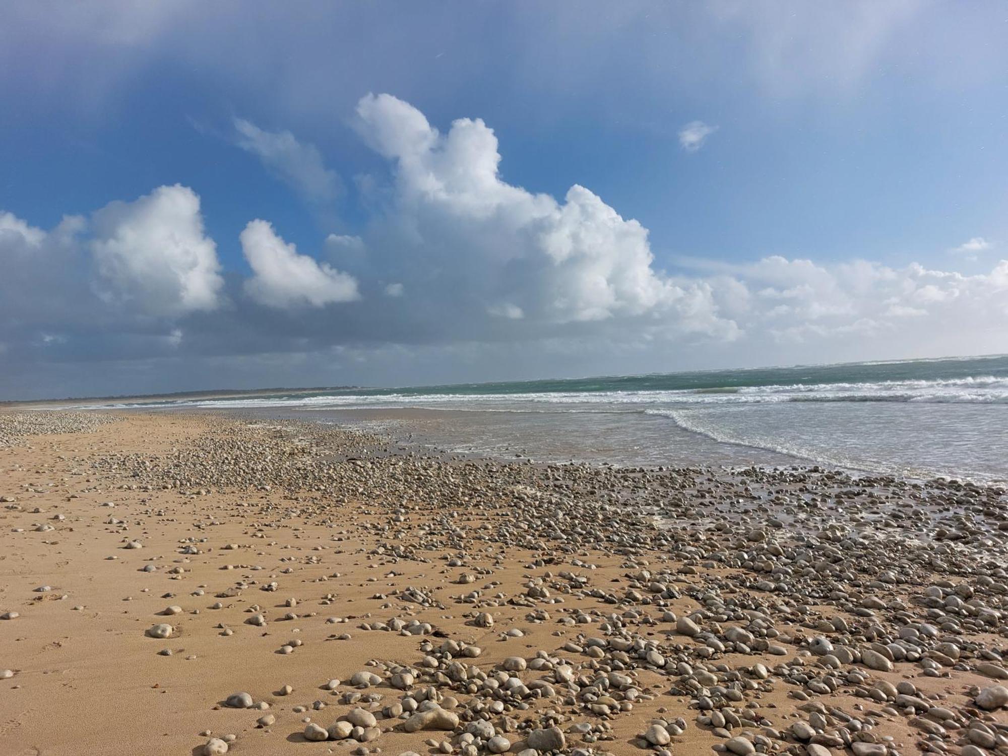 Maison A 8 Min A Pied De La Plage Avec Jardin Clos Et Ombrage Saint-Georges-d'Oleron Bagian luar foto