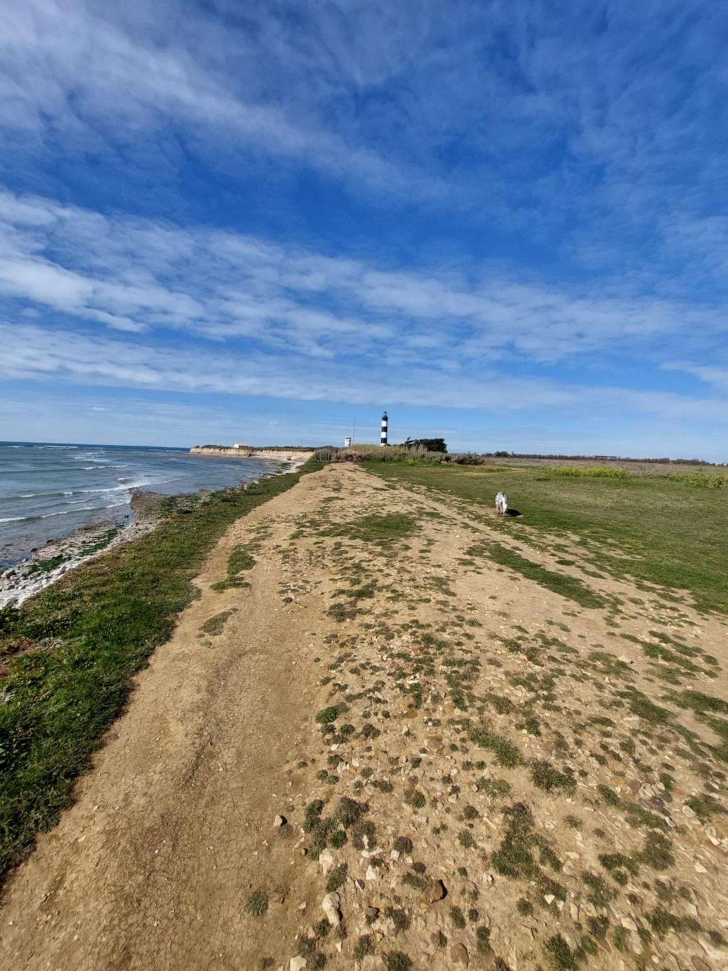 Maison A 8 Min A Pied De La Plage Avec Jardin Clos Et Ombrage Saint-Georges-d'Oleron Bagian luar foto